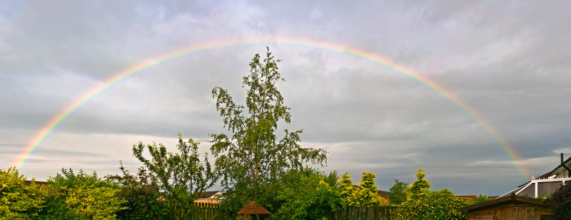 Backgarden-Rainbow-P7.jpg