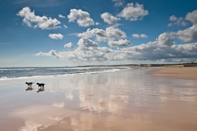 Seaton-Sluice-Beach-Wide.jpg