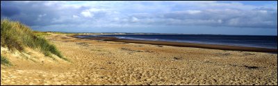 Cresswell beach panorama.jpg