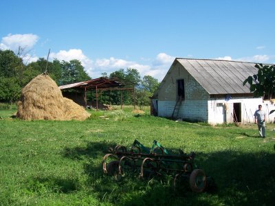 Romanian Dairy Farm