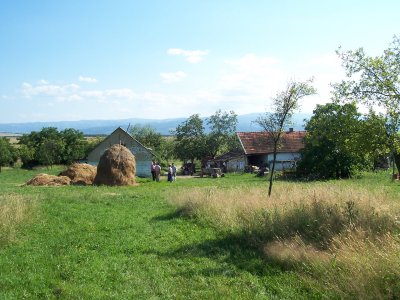 Dairy farm in Romania