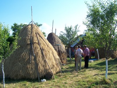 Romanian Hay Stacks