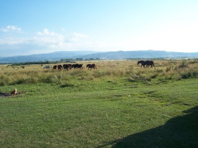Rural Countryside in Romania