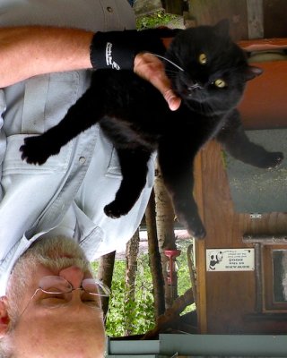  Jon Van Zyle and his cat Dickens upside down.jpg