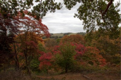 Autumn colour 4