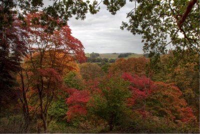 Autumn colour 3