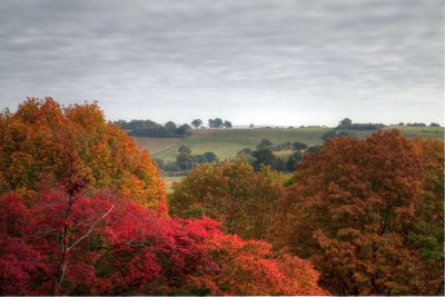 Autumn Colour 2
