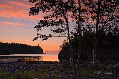 30.12 - Split Rock Lighthouse:  Rose Sunrise At Little Two Harbors With Birch Trees