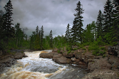72.4 - Temperance River Firs