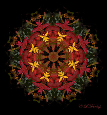 220 Autumn Kaleidoscope