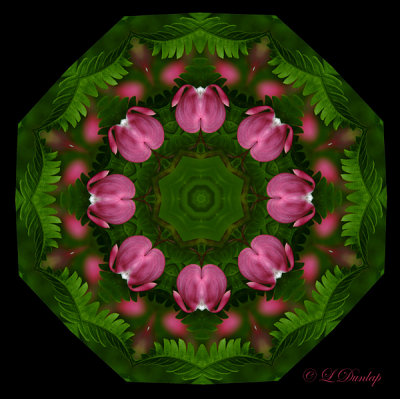 151 Bleeding Heart Kaleidoscope