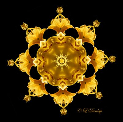 141 Sunlilies Kaleidoscope 12