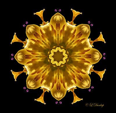 130 Sunlilies Kaleidoscope 16