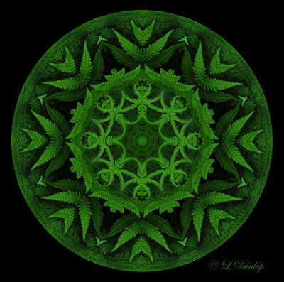 90 Fern Kaleidoscope