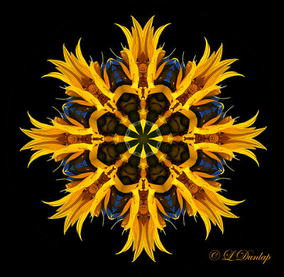 70 Sunflower Kaleidoscope 5