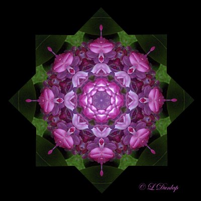 146 - Lilacs Kaleidoscope 8