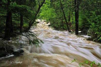 Tischer Creek Floodwater 1