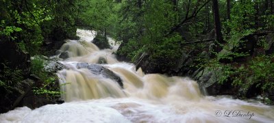 4.1 - Tischer Creek Falls With Floodwater