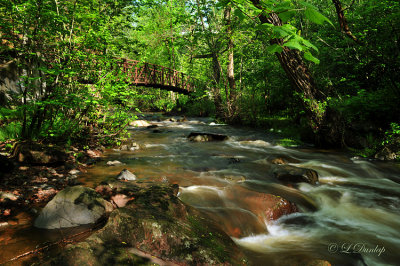 7 - Tischer Creek Bridge On A Sunny Spring Morning