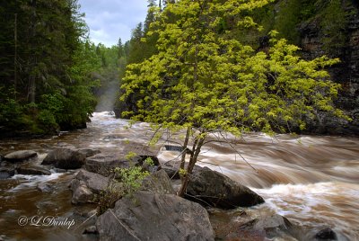 106 - Grand Portage: Pigeon River Downstream From High Falls