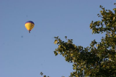 Late August Walk  Beyton 074.JPG