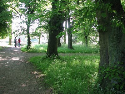 Walking towards Castle Howard