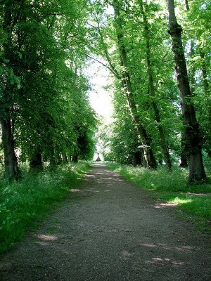 Walking towards Castle Howard.