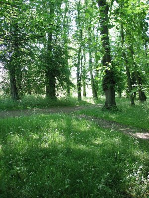 In the grounds of Castle Howard