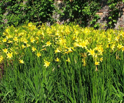 In the garden at Castle Howard.