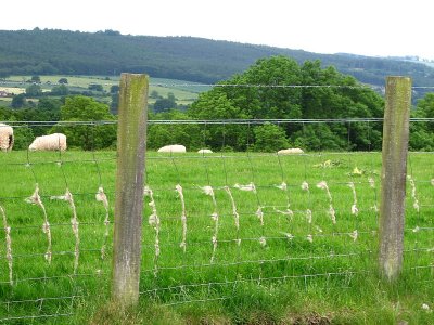 English countryside Northumberland England.