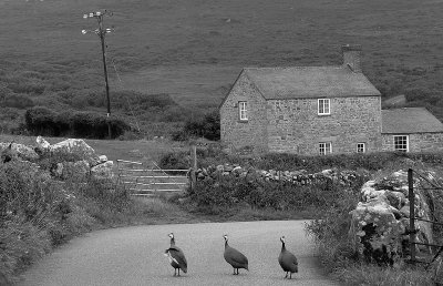 On the road.... in Cornwall.