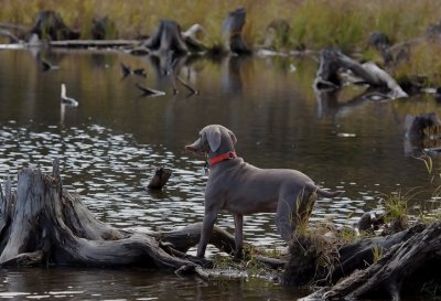 IMG_0860-web.jpg