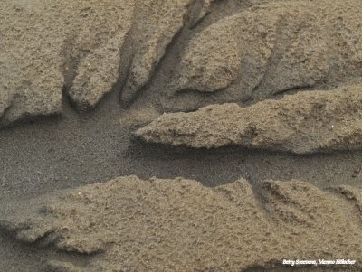 Strandjutten - het is eb