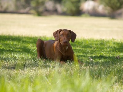 Meile at the park