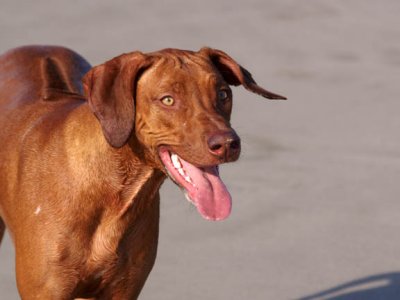 Nothing makes her happier that running!