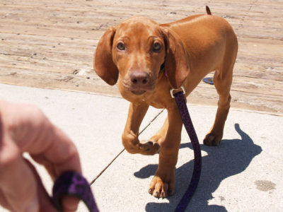 Meile at Pismo Beach