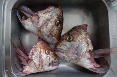 Preparing Fish Head Soup