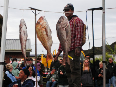 Fishing New Zealand