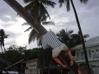 27.jpg