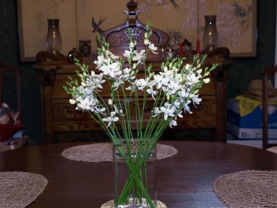 I cut about half of the stems so that I could enjoy them inside...