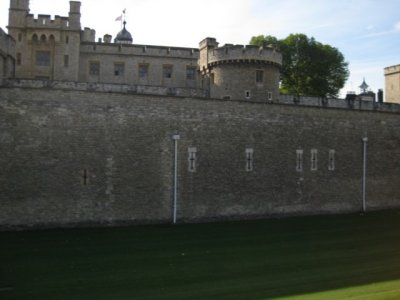 IMG_0450.jpg