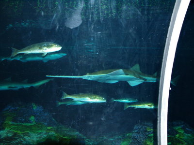 Underwater