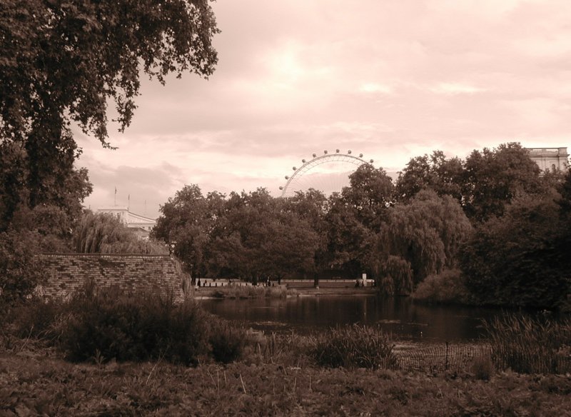 Three Views in St. James Park (9/29)