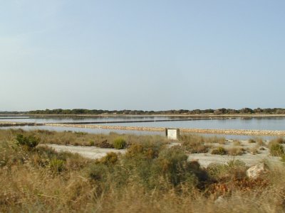 Ses Salinas in Formentera (30/6)
