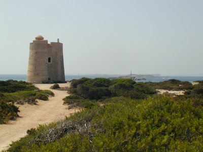 Torre de XXXX, Ses Salinas (3/7)