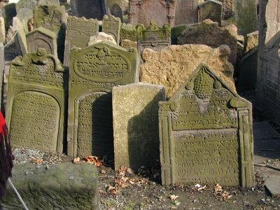 g5/95/19695/3/98729623.DDAbs9cm.jpg