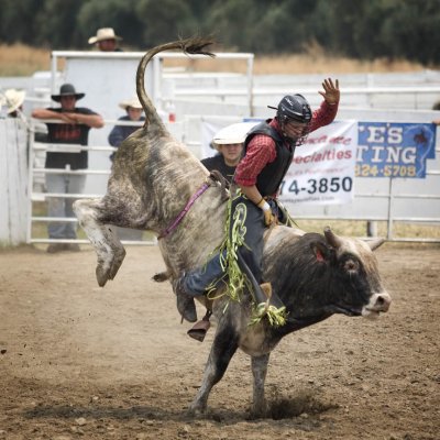More Rodeo