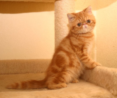 Am I sweet? :)