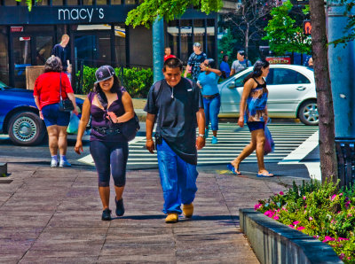 Yankee Fan, White Plains