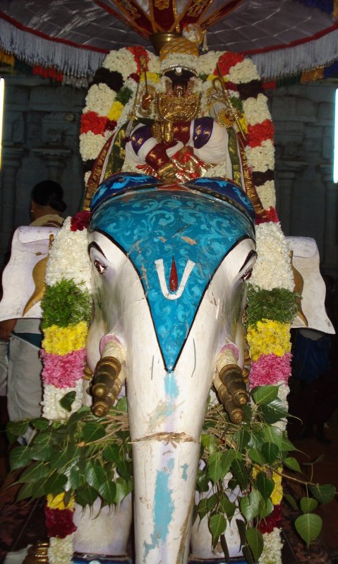 DSC01555.JPG